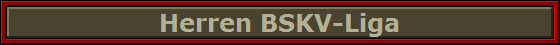 Herren BSKV-Liga