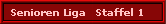 Senioren Liga   Staffel 1